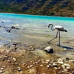 Dammuso Pantelleria - Fiori D'ossidiana Kamma