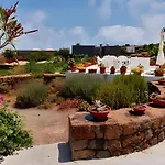 Dammuso Pantelleria - Fiori D'ossidiana