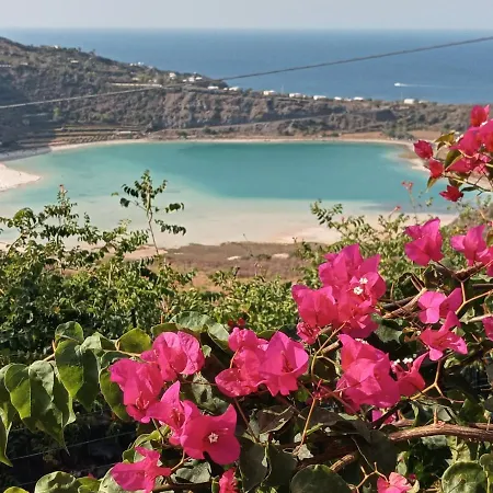 Dammuso Pantelleria - Fiori D'ossidiana Kamma