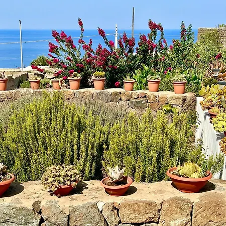 Dammuso Pantelleria - Fiori D'ossidiana Apartment